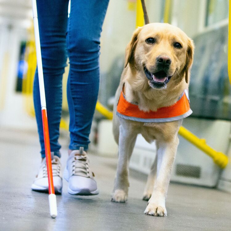 Hulpmiddelenzorg Zorginkoopbeleid Salland Zorgverzekeraar